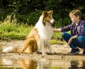 Bild: Warner Bros. GmbH/dpa
Lassie ist zurück. Im neuen Film ist Flo (Nico Marischka) ihr bester, menschlicher Freund.