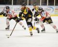Bild: Andreas Brückmann
Schlechte Erinnerungen hat der ERSC Amberg an den ESV Buchloe. Im Auftaktspiel der Aufstiegsrunde Mitte Januar unterlagen die Löwen (im Bild Andreas Hampl am Puck) mit 2:6. Die Pirates aus Schwaben machten damals mit einem Doppelschlag binnen 23 Sekunden den Sack zu.