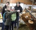 Bild: Hirsch
Die Kinder zeigen keine Berührungsängste und helfen den Junglandwirten Matthias und Christoph Weilhammer (von links) sogar beim Füttern.