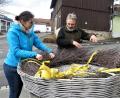 Bild: ubb
Susanne Pätz und Dieter Brandl richten das Birkenreisig im Storchennest zurecht. Danach wurde das Nest aufs Kirchendach gehoben.