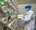 Bild: Fan Peishen/dpa
Die Wirkstoffe vieler hier gebräuchlicher Medikamente kommen aus chinesischen Provinz Hubei, die vom Coronavirus besonders betroffen ist.