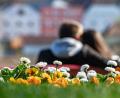 Bild: agentur_dpa
Frühling ist die Zeit der großen Gefühle ... jedenfalls für die meisten.