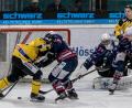 Bild: Lienert
Eine heftige Rangelei im zweiten Drittel zwischen den ERSC-Spielern (in Gelb) und den Hausherren aus Kempten. Die Amberger kassierten 29 Strafminuten plus eine Spieldauer, der ESC Kempten nur sechs.