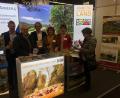 Bild: rrd
Am Messestand der Freizeitmesse (von links): Bürgermeister Reiner Pickel (Weigendorf), Bürgermeister Winfried Franz (Neukirchen), Klaus Büscher (VGN), Pauline Regler (Verkehrsverein Hirschbach) und Heidi Ziegler (Tourismusverein Königstein).