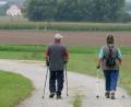 Archivbild: Petra Hartl
Nach wie vor liegt das Wandern im Trend. Im DVV-Bezirksverband sind nicht nur bei Wandertagen viele Teilnehmer unterwegs, sondern auch auf den neun „permanenten Wanderwegen“.