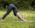 Bild: Goerke Vanessa
Karina Back zeigt eine Übung für Anfänger: Den herabschauenden Hund (Adho Mukha Svanasana). Beim kostenfreien „Yoga für Artenvielfalt“ stehen Positionen mit Namen wie Delfin, Robbe oder Schildkröte im Mittelpunkt.