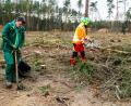Bild: Hösamer
Jan Vaclavik (links) setzt Laubbäume, sein Kollege Franz Deml von der Bodenwöhrer Landschaftspflegefirma Reiger zerkleiner Äste. Die beiden arbeiten auf einer Fläche zwischen Westfeld und Hirtlohweiher, die Uniper gehört und ökologisch aufgewertet wird.