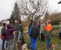 Bild: rkp
Die Teilnehmer des Obstbaumschnittkurses mit Leiter Audi Lurbiecki (links am Baum).