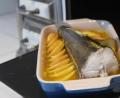 Bild: Gabi Schönberger
Mit Äpfeln und Weißwein kommt der Fisch am Stück in den Backofen. Dazu passen Reis oder Kartoffeln.