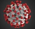 Bild: Centers for Disease Control and Prevention illustration
Der erste Landkreisbürger hat sich mit dem neuartigen Coronavirus Sars-coV-2 infiziert.