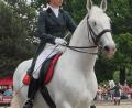 Bild: gz (Archiv)
Die Lipizzaner standen vor 75 Jahren bei einer Befreiungsaktion durch die 2. amerikanische Kavallerie im Fokus.