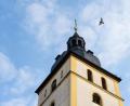 Bild: Nicolas Armer/dpa
Eine Taube kreist über der Kirche St. Jakob im Ortszentrum von Mitterteich. Der Ort im Landkreis Tirschenreuth steht derzeit im Mittelpunkt der Corona-Berichterstattung.