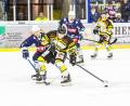 Bild: exb
Der lettische Nationalspieler Edgars Homjakovs (hier im gelb-schwarzen Trikot des ERC Sonthofen) besetzt in der kommenden Saison die zweite Kontingentstelle bei den Blue Devils Weiden.