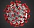 Bild: Centers for Disease Control and Prevention illustrationCenters for Disease Control and Prevention illustration
Auch die Zahlen vom Donnerstag zeigen: Das Coronavirus ist in Weiden und im Landkreis Neustadt/WN weiter auf dem Vormarsch.