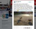 Screenshot: twitter.com/polizei_nrw_pb
Die Polizei in Paderborn hat sich bei Twitter über ein Entenpaar amüsiert.