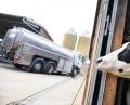 Bild: Arne Dedert
Die Milchwagenfahrer dürfen weiterhin die Milch abholen. Aber es gelten strenge Regeln.