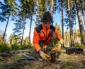 Bild: exb/Martin Hertel
Christian Schneider, Mitarbeiter beim Forstbetrieb Fichtelberg, pflanzt ein junges Tannenbäumchen.