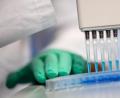 Bild: Sven Hoppe
Ein neuer Coronatest soll nach rund zweieinhalb Stunden ein Ergebnis liefern.