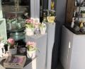 Bild: Anneliese Andörfer/exb
Vor ihrem Blumenladen in Mitterteich stellte Floristin Anneliese Andörfer Blumen und Dekoartikel zum Mitnehmen gegen Vertrauenskasse bereit.