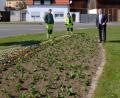 Bild: Stefanie Gradl
Bürgermeister Hans-Martin Schertl (rechts) bedankt sich bei den Mitarbeitern der Stadtgärtnerei Jonas Wurzer und Monika Meinerz (von links), die im gesamten Stadtgebiet wunderschöne Blumenrabatte angelegt haben.