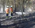 Bild: bgl
Einsatz im Unterholz: Auf einer Fläche von 30 000 Quadratmeter hat sich am Montag der Wald am "Baumer-Berg" bei Pertolzhofen entzündet. Knapp 130 Einsatzkräfte gingen gegen das Feuer vor.
