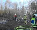 Bild: nic
Am Mittwochabend brannte zwischen Schwarzenbach und Grün eine Fläche in einem Waldabschnitt.