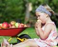 Bild: agentur_dpa
So ein Apfel kann ganz schön lecker sein – und gesund noch dazu. Mit dem Rezept der Jugendarbeit des Landkreises können Kinder Äpfel sogar trinken.
