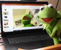 Bild: Silke Winkler
Tatsächlich ziemlich surreal: Kermit der Frosch lehrt Schülern der FOS/BOS online, was Surrealismus ist.