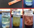 Bild: exb
Das Experiment erinnert ein bisschen an Lavalampen. Was passiert, wenn man Öl und eine farbige Brausetablette in ein Glas Wasser wirft? Probiert es aus.