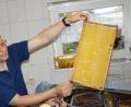 Bild: weu
Michael Völkl aus Pirk ist passionierter Imker und gibt als Bienenfachwart und ausgewiesener Fachmann der Imkerei sein Wissen weiter.