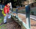 Bild: bsc
Hinter den Leitplanken überwachen die Mitglieder des Vereins Kulturlandschaft südlicher Steinwald derzeit täglich zweimal die Wanderwege der Amphibien. Beim Versuch, den Amphibienschutzzaun zu umwandern, fallen die Tiere in eingegrabene Fangeimer. Rita Steinkohl (Bild) prüft deshalb bei ihrem Kontrollgang jeden Eimer und befreit die Tiere aus ihrem unfreiwilligen Zwischenstopp.