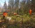 Bild: tr
Die Waldarbeiter Wolfgang Popp, Michael Pscherer und Peter Schraml pflanzen im Revier Pullenreuth den Wald von morgen. Der wird anders aussehen als heute, aber dem zu erwartenden trockeneren Klima besser standhalten.