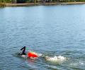 Bild: exb
Stephan Pollert eröffnet die Schwimm-Saison sportlich bei kühlen 15 Grad Wassertemperatur.