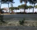 Bild: Silvia Avigo
Leere Straßen, leere Spielplätze und leere Parkplätze – in Ambergs italienischer Partnerstadt Desenzano gilt eine strikte Ausgangssperre.