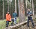 Bild: Gabi Schönberger
WBV-Förster Andreas Eisner, WBV-Geschäftsführer Josef Maier und Forstrevierleiter Stefan Stangl (von links) begutachten Käferholz in einem Privatwald bei Burkhardsrieth. Die markierten Bäume müssen zügig aus dem Wald entfernt werden.