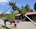 Bild: kro
Mit vereinten Kräften hieven Norbert, Valentin, Florian, Gabi und Magdalena Schmidkonz (von links) den rund elf Meter langen Maibaum in die Höhe. Sohn Simon schaute krankheitsbedingt zu.