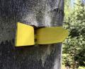 Bild: gri
Immer dem gelben Pfeil nach: Wanderung auf dem Buchberg.