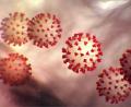 Bild:  Center for Disease Control/Planet Pix via ZUMA Wire/dpa
Diese vom Center for Disease Control and Prevention (CDC) erstellte Illustration zeigt den neuartigen Coronavirus 2019.