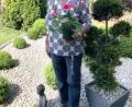 Bild: exb
Auch Ehrenmitglied Elisabeth Baldauf freut sich über den Frühlingsgruß