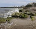 Bild: Clara Margais/dpa
Eine Welle prallt auf einige Felsen am Strand von Cala Millor. Die Abwesenheit von Touristen ist an den Stränden Mallorcas spürbar. "Das Wasser ist derzeit spektakulär transparent", sagt der Biologe Txema Brotons.