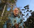 Bild: Forstbetrieb Fichtelberg/exb
Werner Schmidt, Förster am Ochsenkopf, mit einem vom Frost geschädigten Buchenzweig.