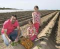 Bild: Petra Hartl
Thomas Trummer aus Hahnbach mit seinen Mädels Carolina (sitzend) und Theresa auf dem Kartoffelfeld. Ende Juni kann die frühe Kartoffelsorte "Valetta" geerntet werden.