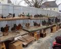 Archivbild: Gerhard Götz
Laut der Tierrechtsorganisation Peta sind Tiermärkte Brutstätten für Keime und Viren wie Sars-CoV-2. Sie fordern Bürgermeister Richard Tischler dazu auf, den Pfreimder Taubenmarkt dauerhaft zu schließen.