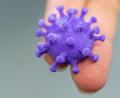 Symbolbild: Robert Michael
Rechnerisch sind im Landkreis Tirschenreuth nur noch 58 Personen mit dem Corona-Virus infiziert.