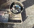 Bild: sam
Diesen Müll hat jemand im Container für Grünschnitt beim Riedener Freibad entsorgt. Doch da gehört er nicht hin.