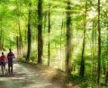 Bild: exb/Jan Becke
Wozu in die Ferne schweifen? Ein Pärchen genießt einen Spaziergang im Oberpfälzer Wald.