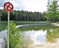 Bild: ubb
Bisher ist auf der Kipp bei den Waldseen in Wiesau lediglich ins Wasser springen vom Steg aus verboten, aus nicht von Corona abhängigen, normalen Sicherheitsgründen. Schwimmen sei weiterhin erlaubt, sagt Bürgemeister Toni Dutz. Einen normalen Badebetrieb mit geöffnetem Kiosk und Nutzung der Liegewiese stimmt er vorerst nicht zu. Er wolle den Kollegendamit nicht in den Rücken fallen damit, sagt Dutz.