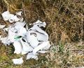 Bild: gz
Die einen lagern ihren Abfall wie hier das zertrümmerte Waschbecken in der Natur ab, andere sorgen sich um eine saubere Landschaft. In Eslarn packen nun die Bürger privat an, um solche wilden Müllablagerungen in den Griff zu bekommen. Das Motto: Clean Isling - sauberes Eslarn.