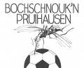 Repro: Gerd Renner
Das Logo der Pruihausener Freiteitfußballtruppe flößt den Gegnern schon mal Respekt ein.