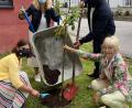 Bild: krb
Eltern, Kindern und auch Bürgermeister Sebastian Dippold packen bei der Baumpflanzaktion an der Neustädter Grundschule an.